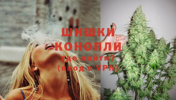дмт Тайга