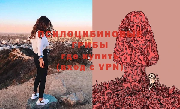 гашик Богородицк