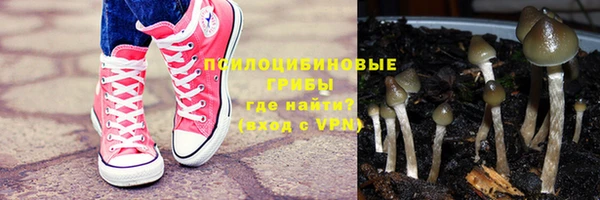 гашик Богородицк